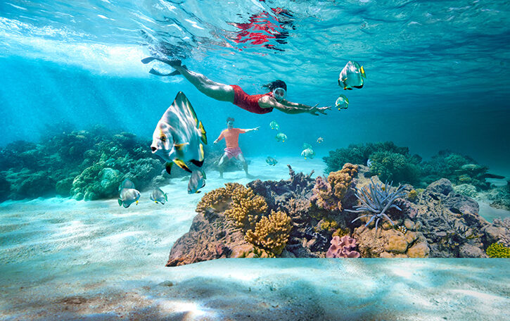 A Deep Dive into the Child Safe Organisations System